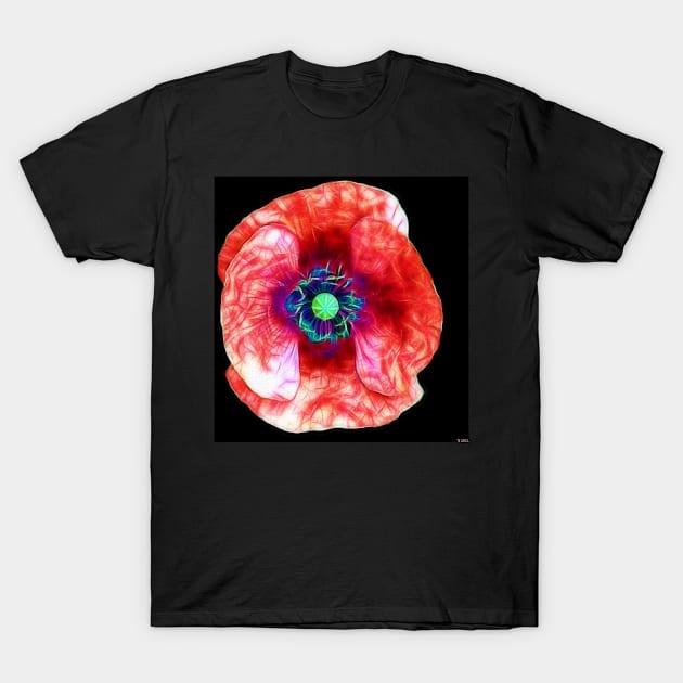 Poppy Flower Close Up T-Shirt by danieljanda